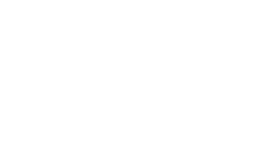 Chicago Foundation for Women Logo